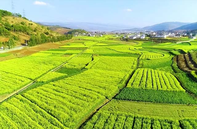 做三农<strong>自媒体</strong>的前景好吗（抖音做农村题材存在的机会）